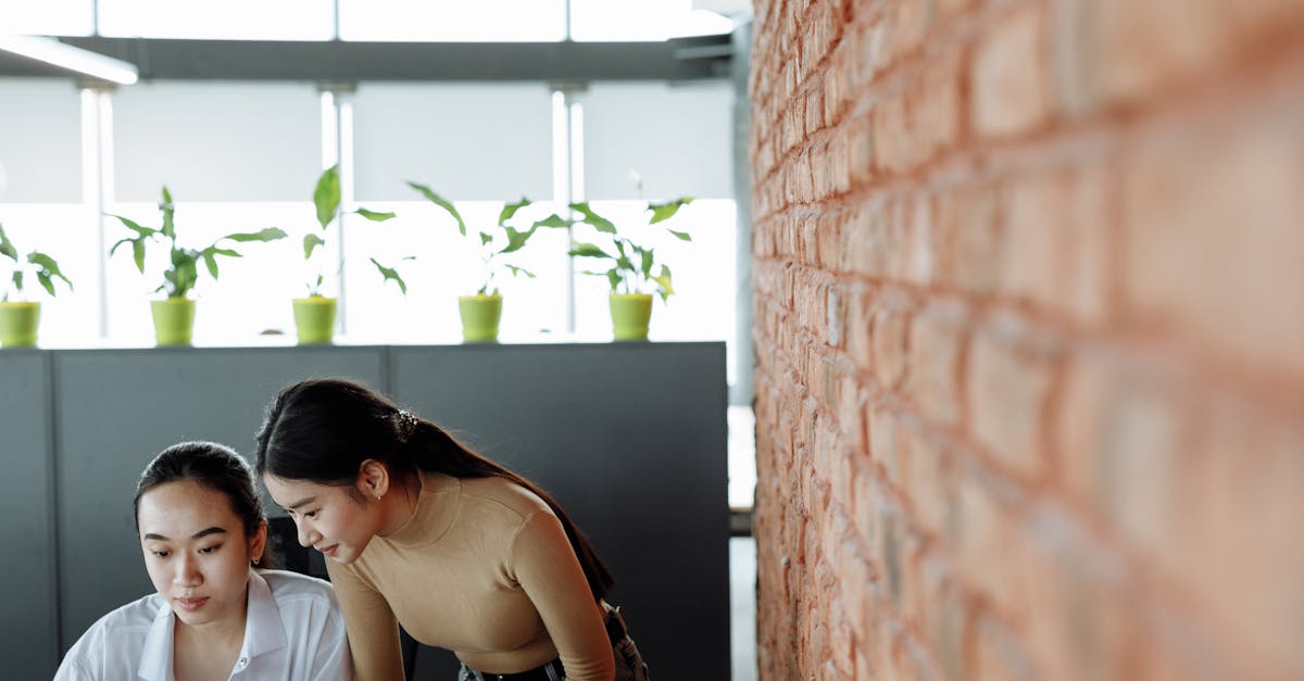 熊猫ip实名账号：河北工商注册公司代理