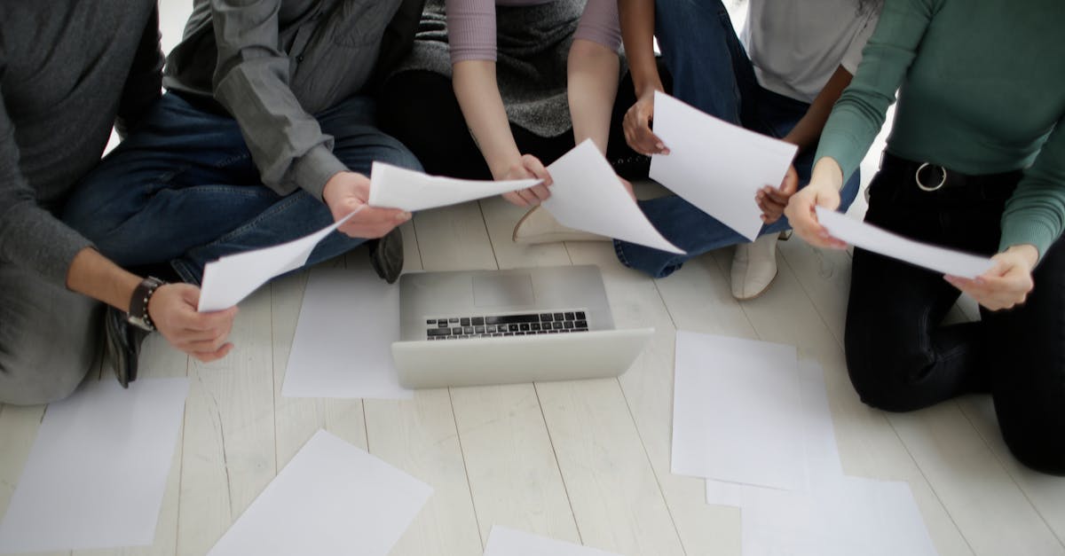 豪利时树叶爆珠：星露谷物语详情下载教程app