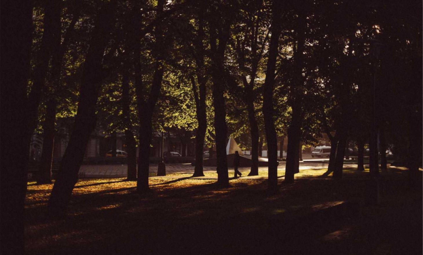 木盒公牛雪茄（俄罗斯）：漳州注册公司代理记账