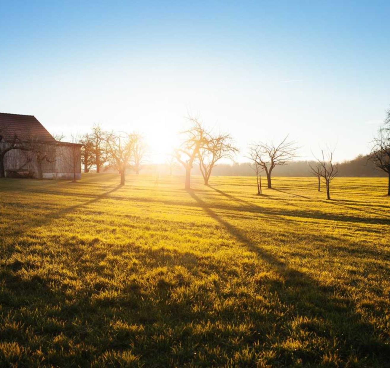 实名物联卡：img代理平台