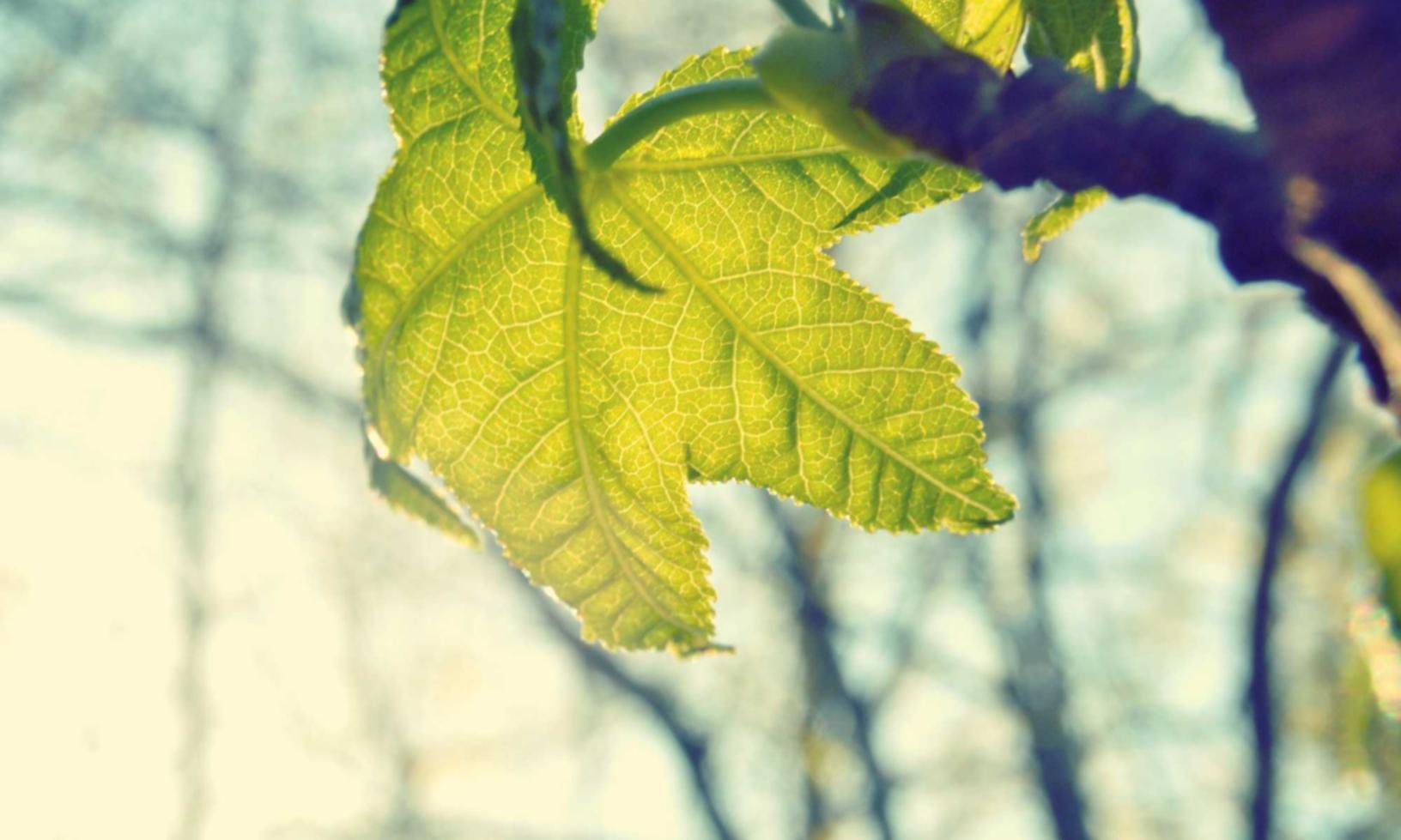 解读DDOS攻击与对策- 昌平代理记账工商注册