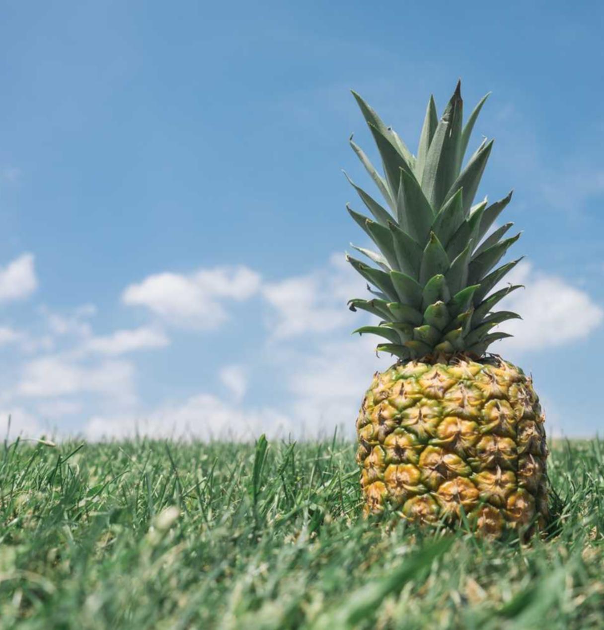 如何使用竞争智能提高SEO能力