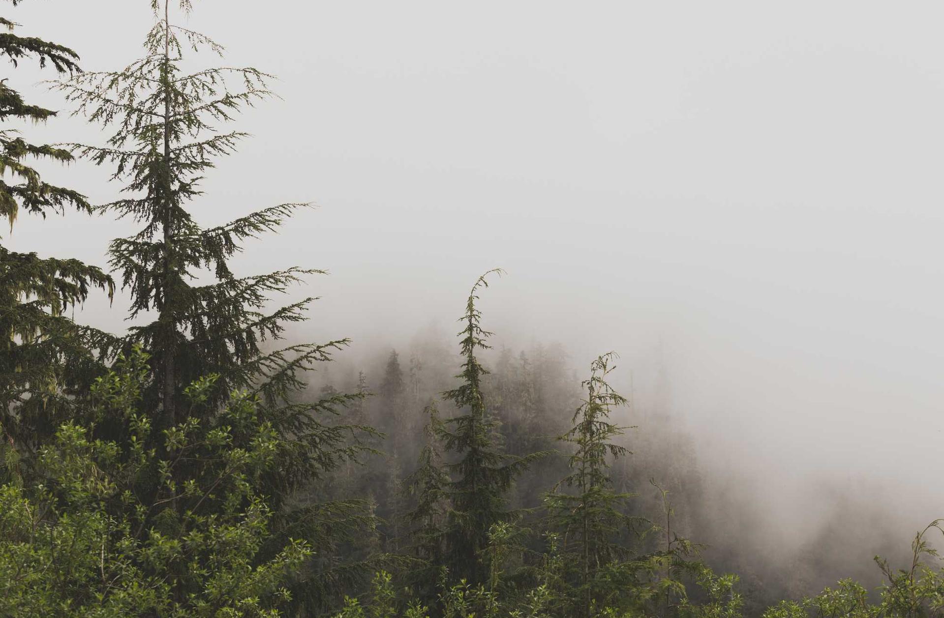 海航通信实名账号：悦橙app详情下载教程