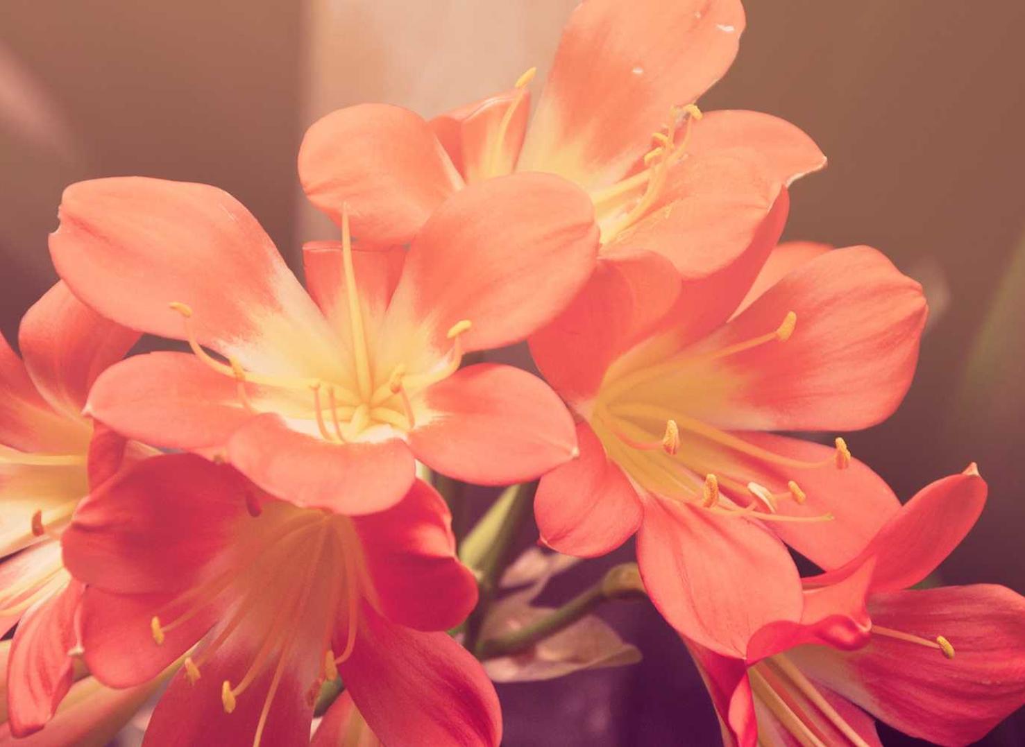 分析短信营销效果:数据分析是关键