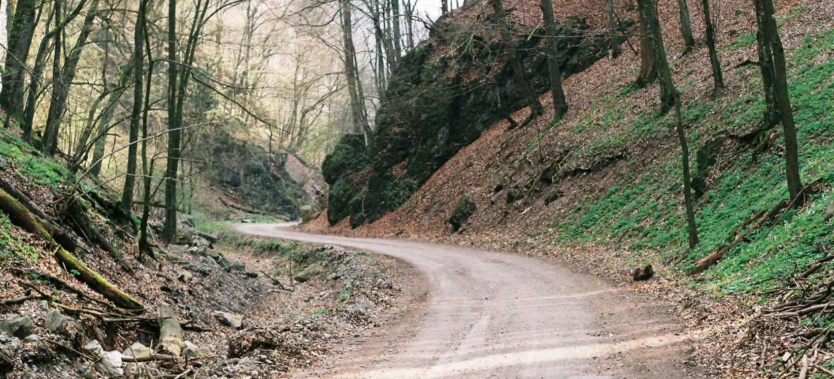 招商银app详情下载教程