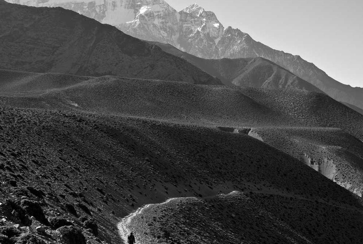 芝麻开门实名账号：倾城国际代理注册