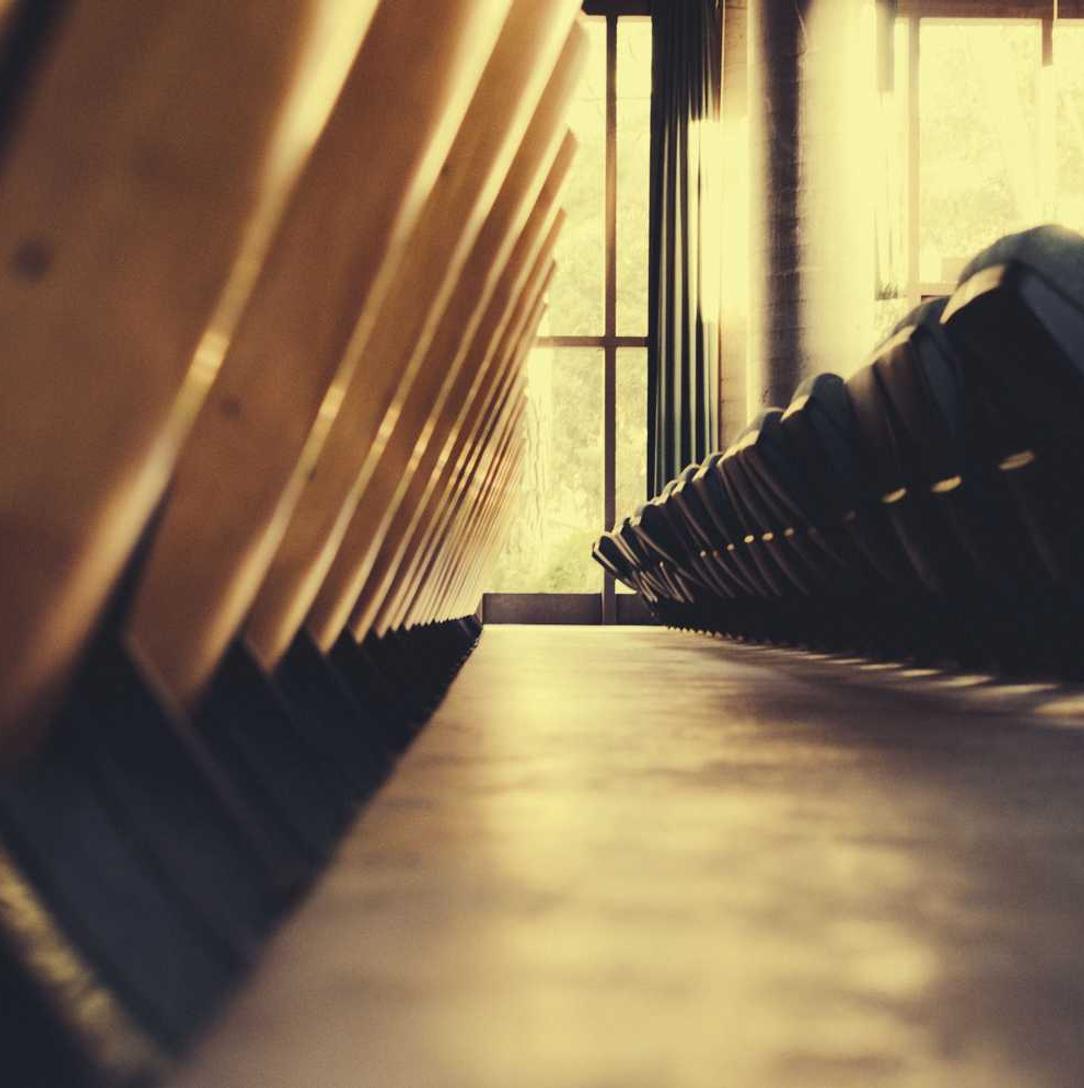 豪利时树叶爆珠：股票开户要在哪个平台