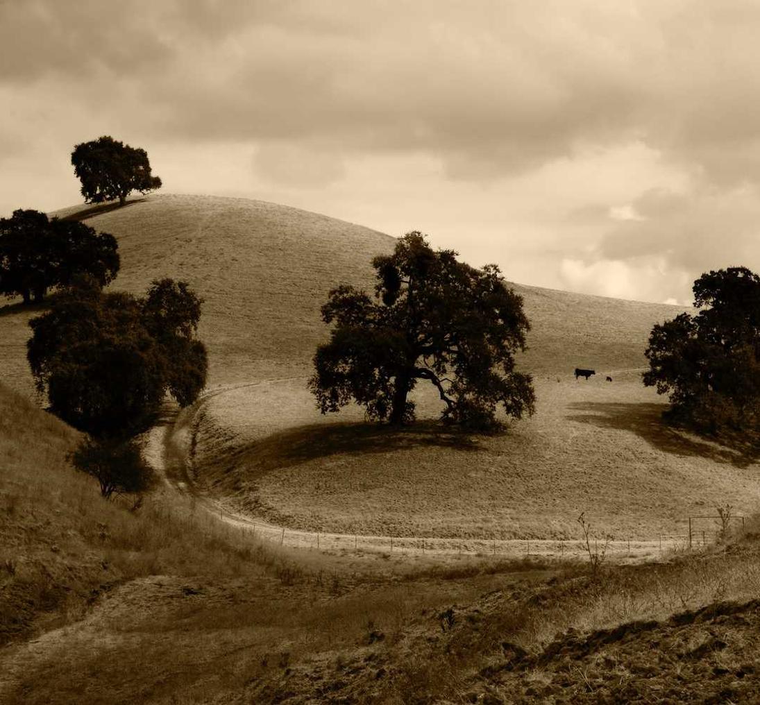 网页在线DDOS压力测试|代理注册淄博公司