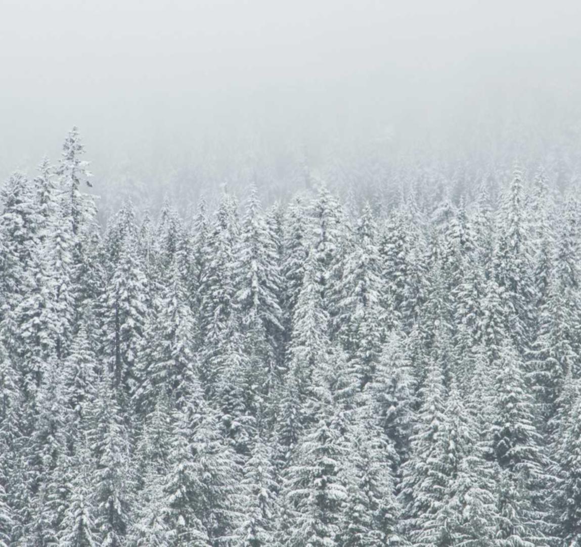 彩虹岛辅助- 马山记账代理注册公司