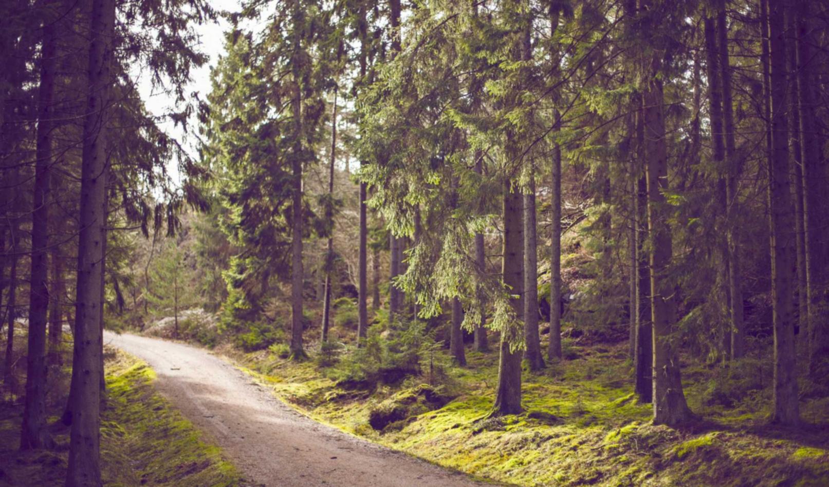 为什么技术支持在某些游戏中如此普遍?