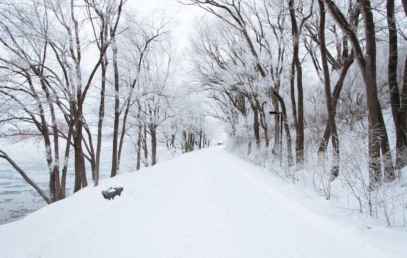 百度手机卡实名账号：实名制账号：防范网络欺诈 