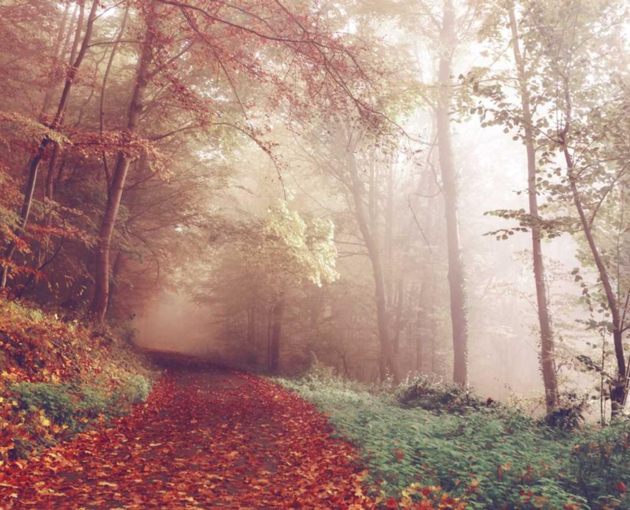 星美通信实名账号：微铺子app详情下载教程