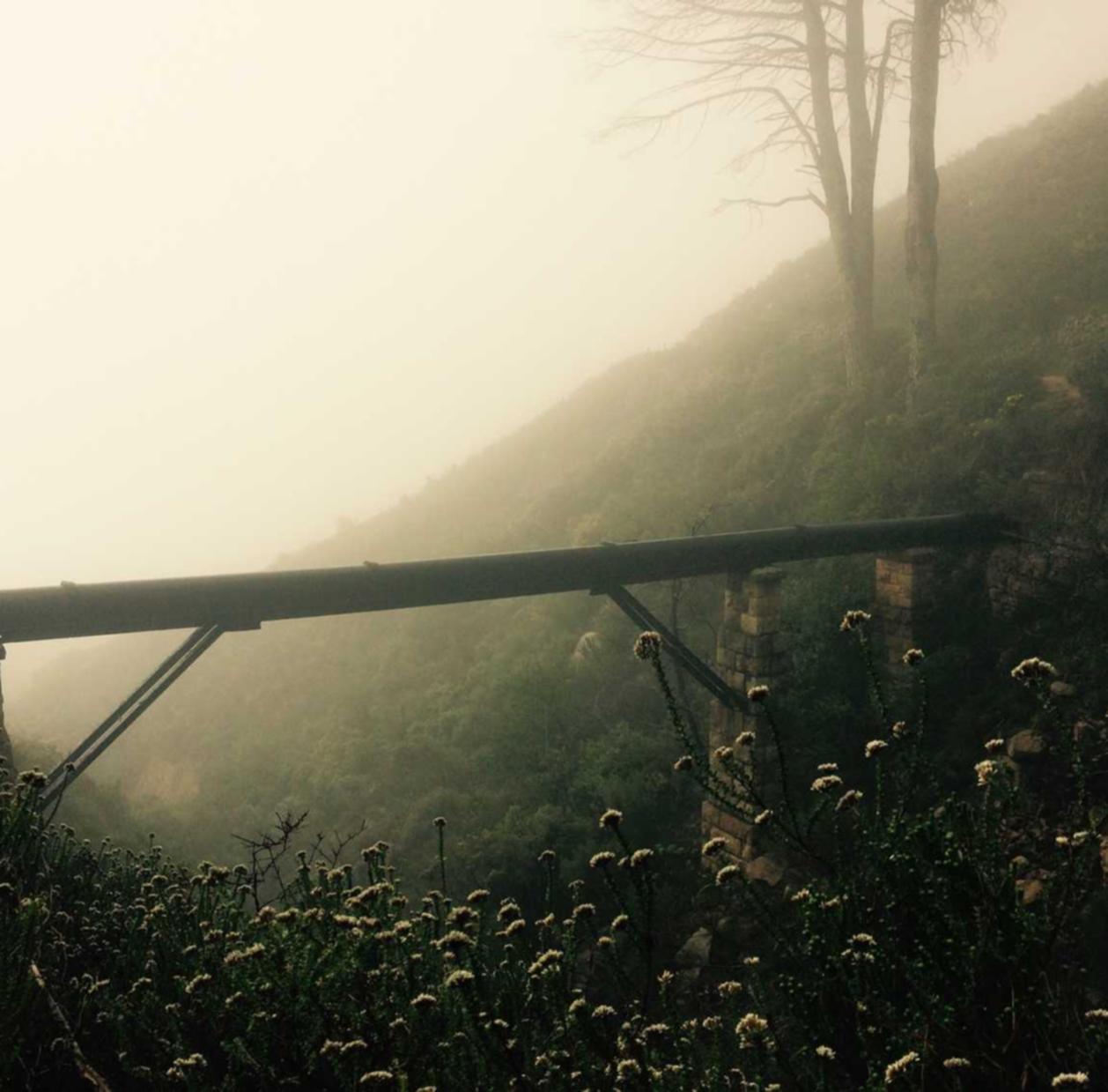 CG阔叶罗布图雪茄:烘焙用品购买平台