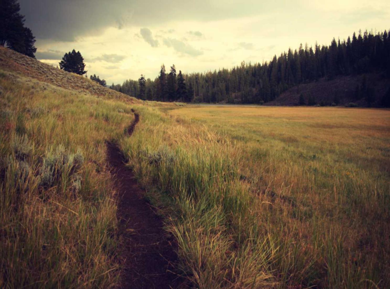 免费DDOS攻击平台|如何防御网络上的密码破解攻击?