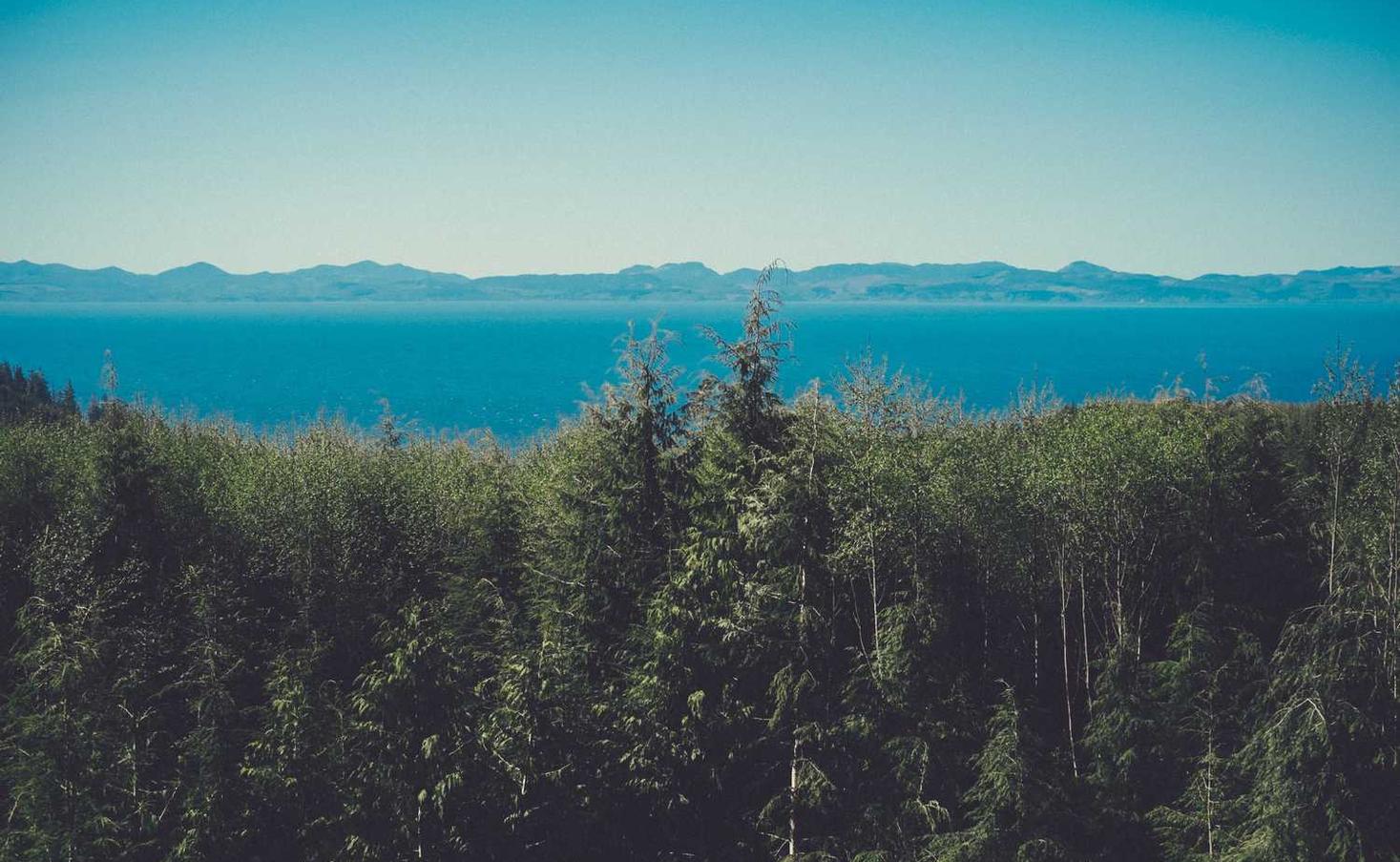 太保e卡实名账号:流量卡的客服QQ,及客服QQ的说明