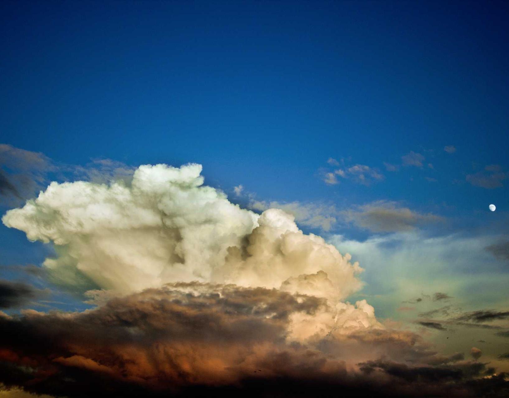 新宝5娱乐，注册|如何在网络营销中减少成本