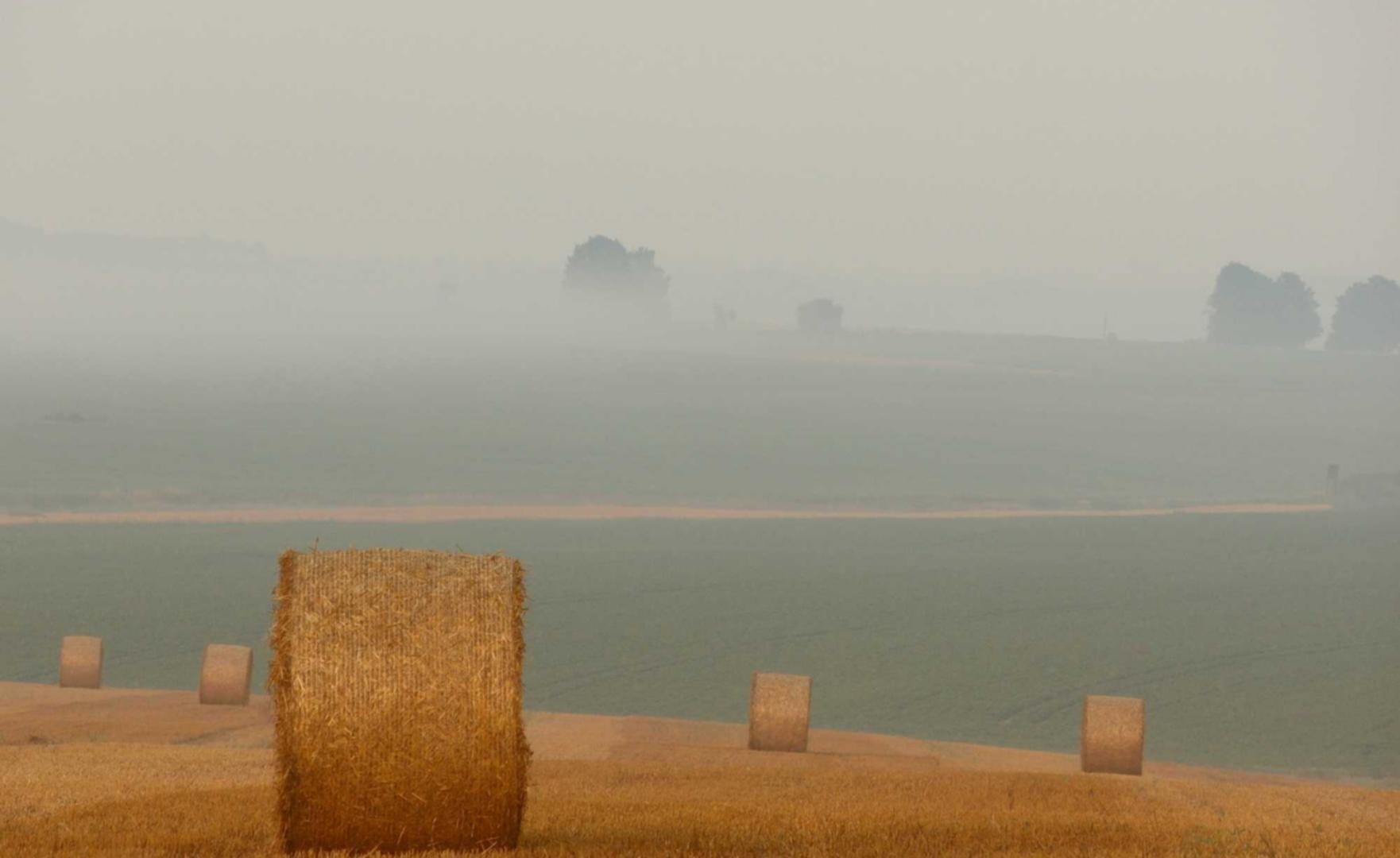 话机通信实名账号:光大期货平台怎么开户