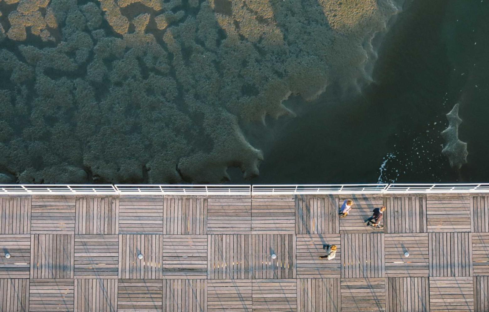 创建营销计划：如何制定和实施营销计划