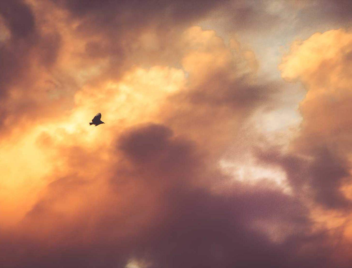 短信营销过去和现在的对比