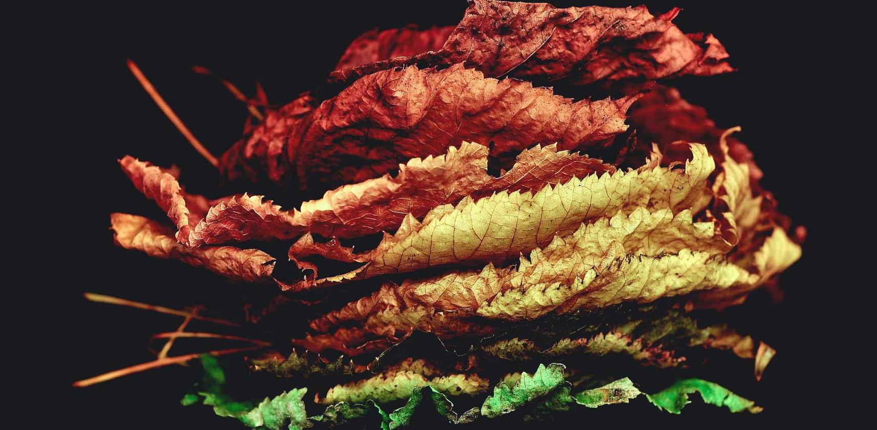 实名流量卡买卖:株洲注册建材公司代理