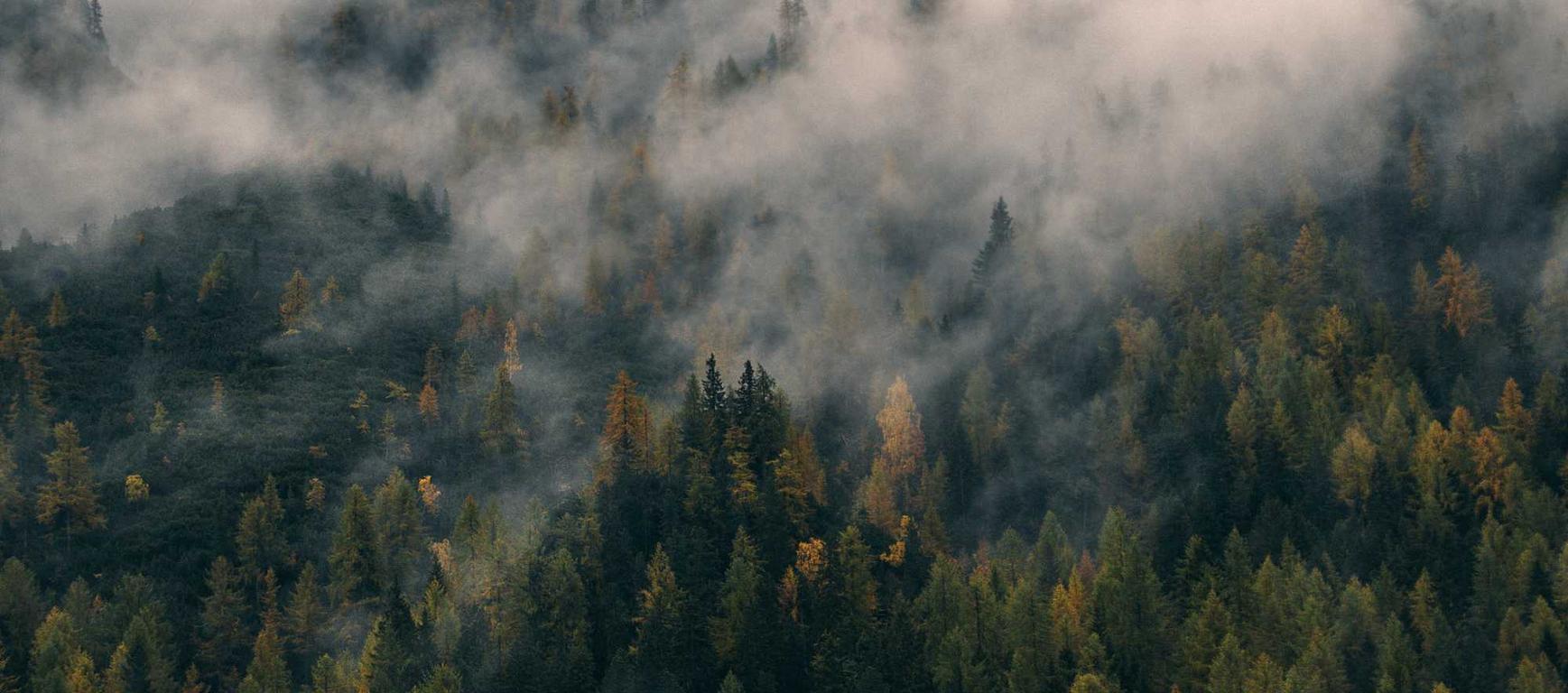 阿里通信实名账号:福州企业注册品牌代理