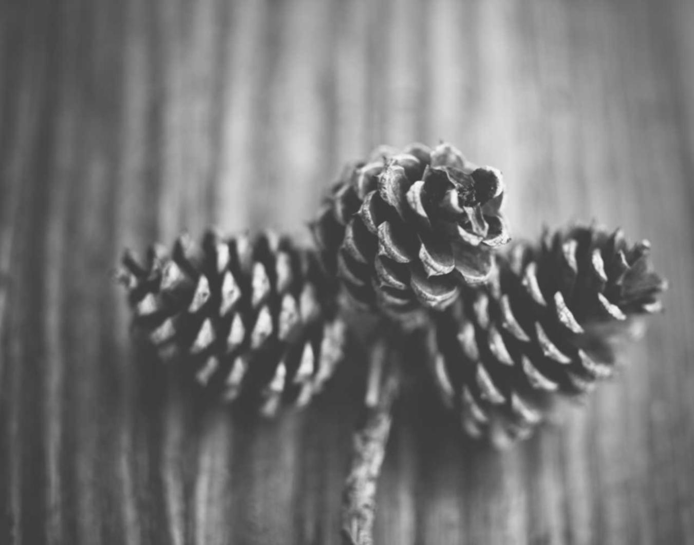 一号站汇丰在线平台开户