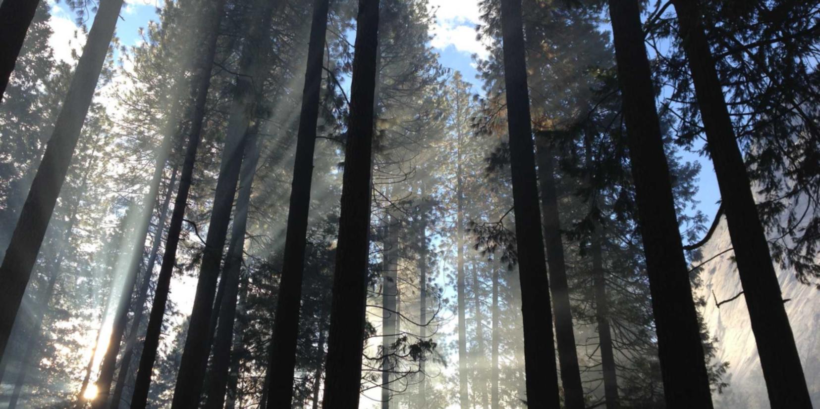 私人微信号:GTA4注册账号显示红色