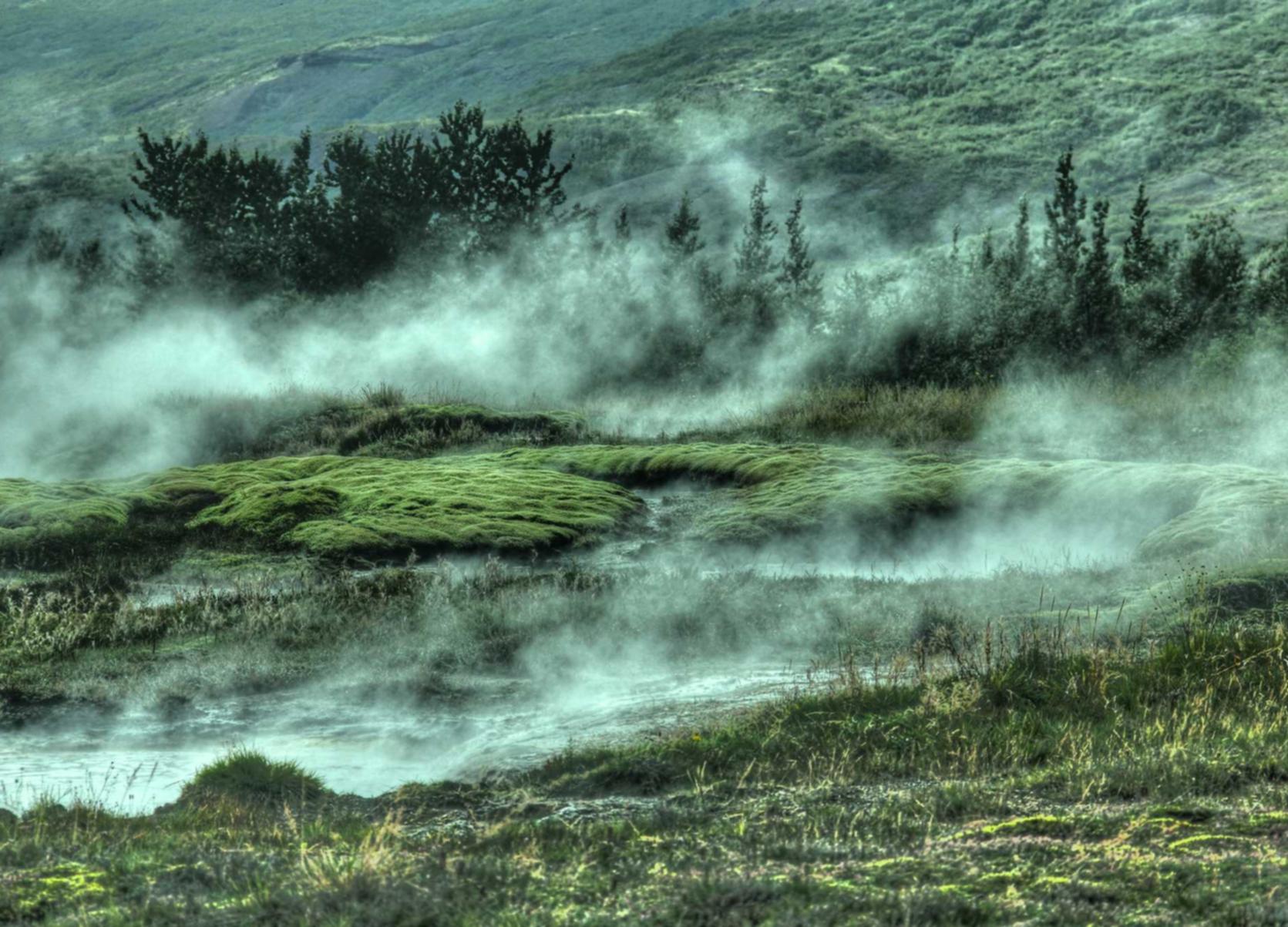 铁塔猫柠檬细枝双爆珠（细）：什么是快手平台优惠劵购买