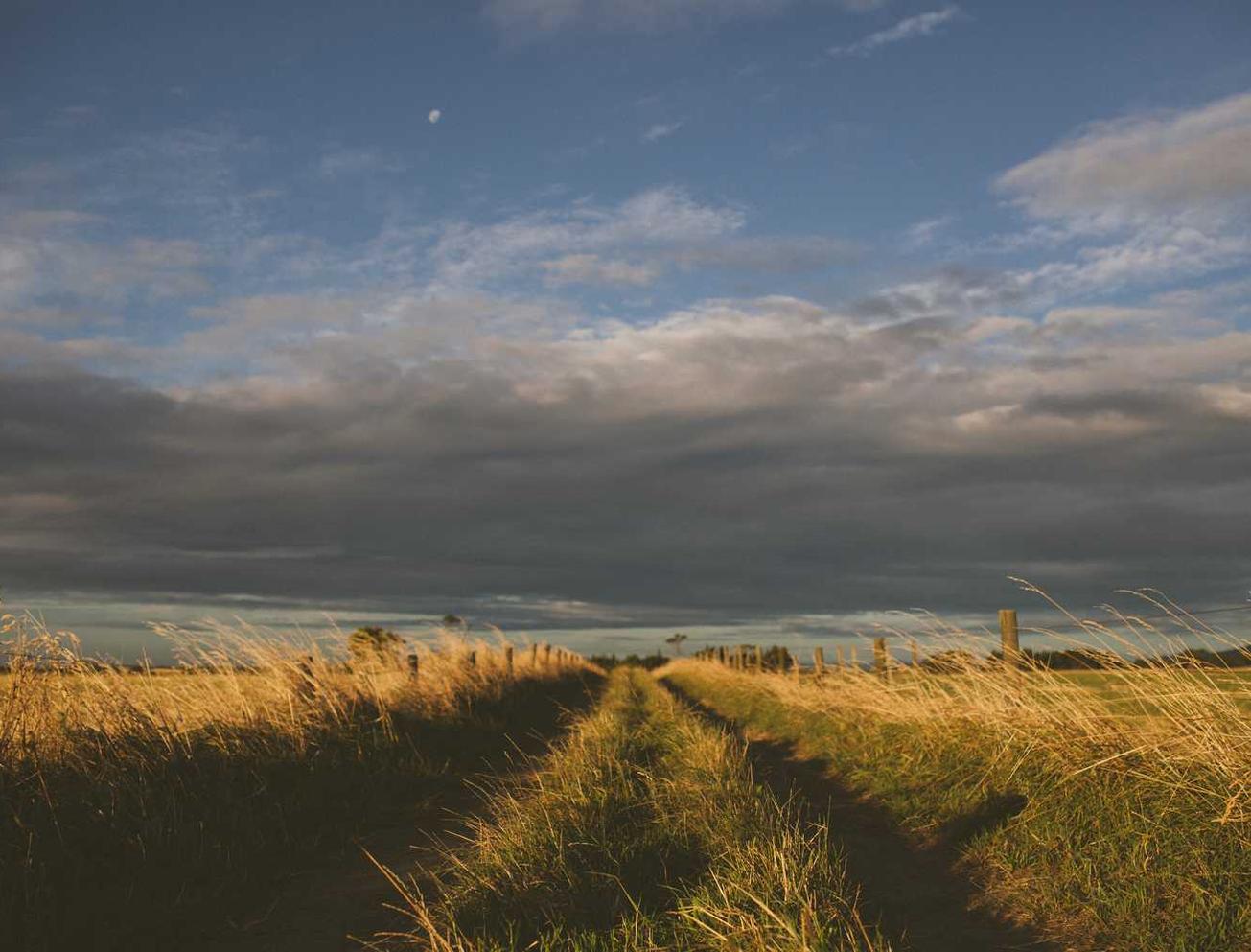 抖音实名账号：八闽视频app详情下载教程