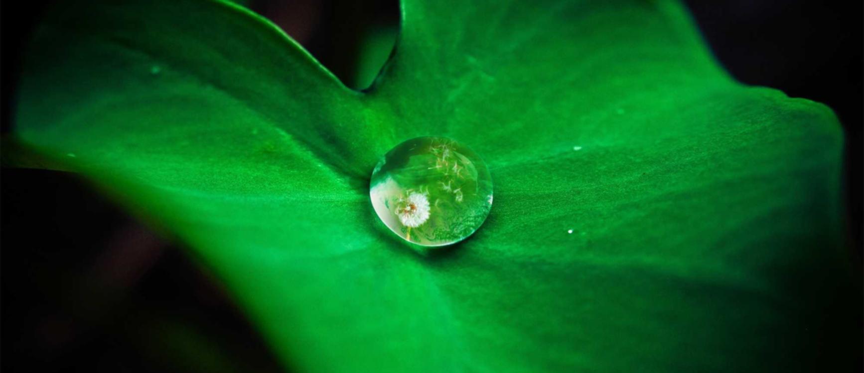 游戏技术支持的虚假宣传是否会影响正版游戏 