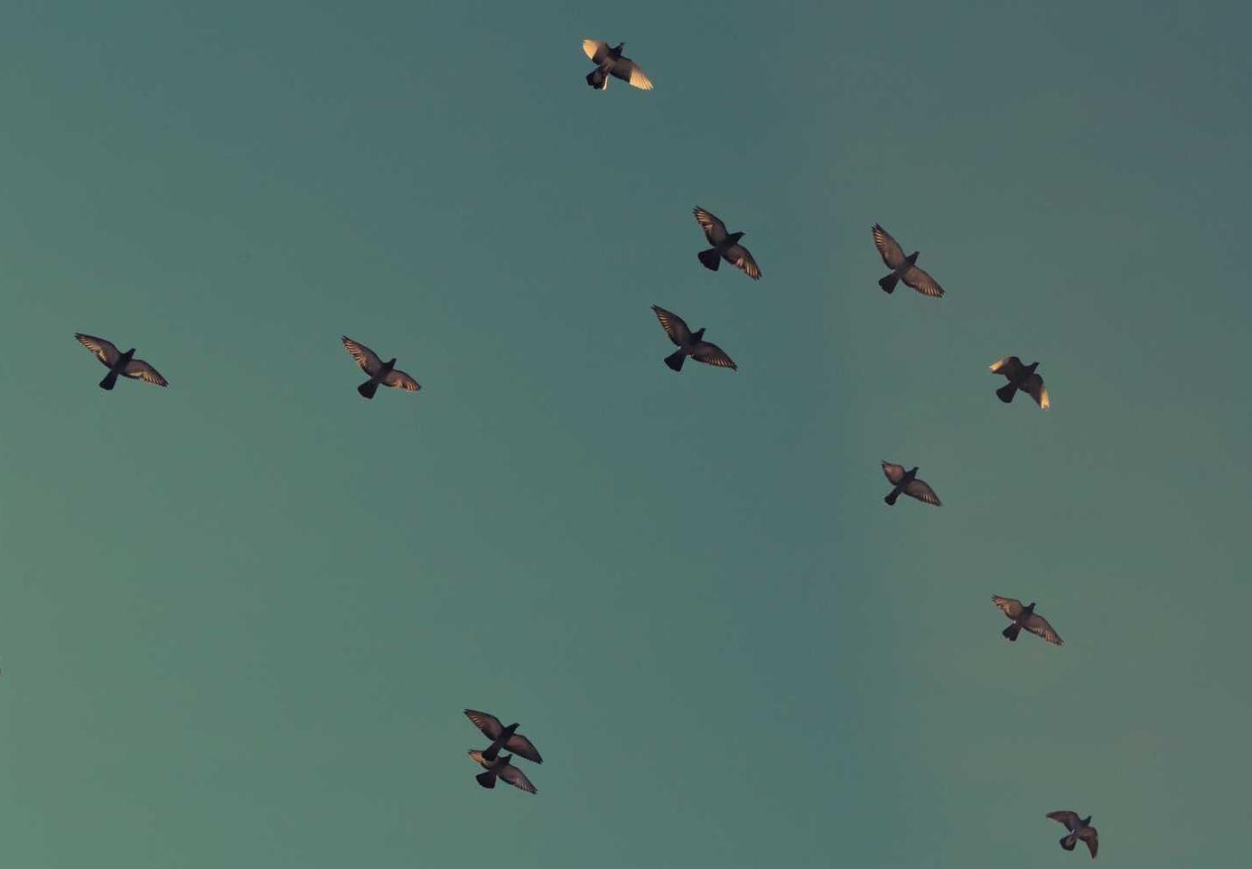 DDOS在线攻击|广西国内配送平台代理