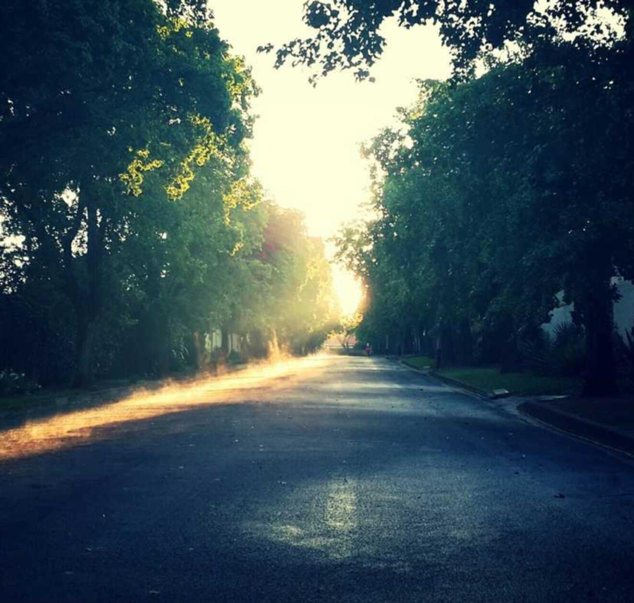 DDOS压力测试网页端|深圳影视app详情下载教程