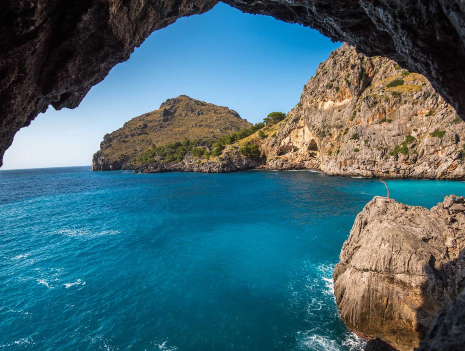 私人vx号买卖：电竞开户平台