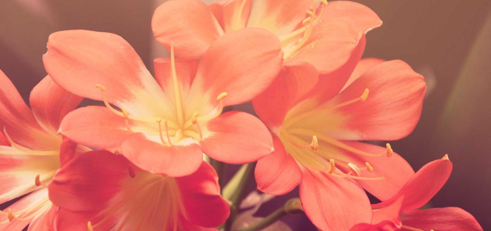 为何一些玩家在用技术支持后，还会抱怨游戏无趣？