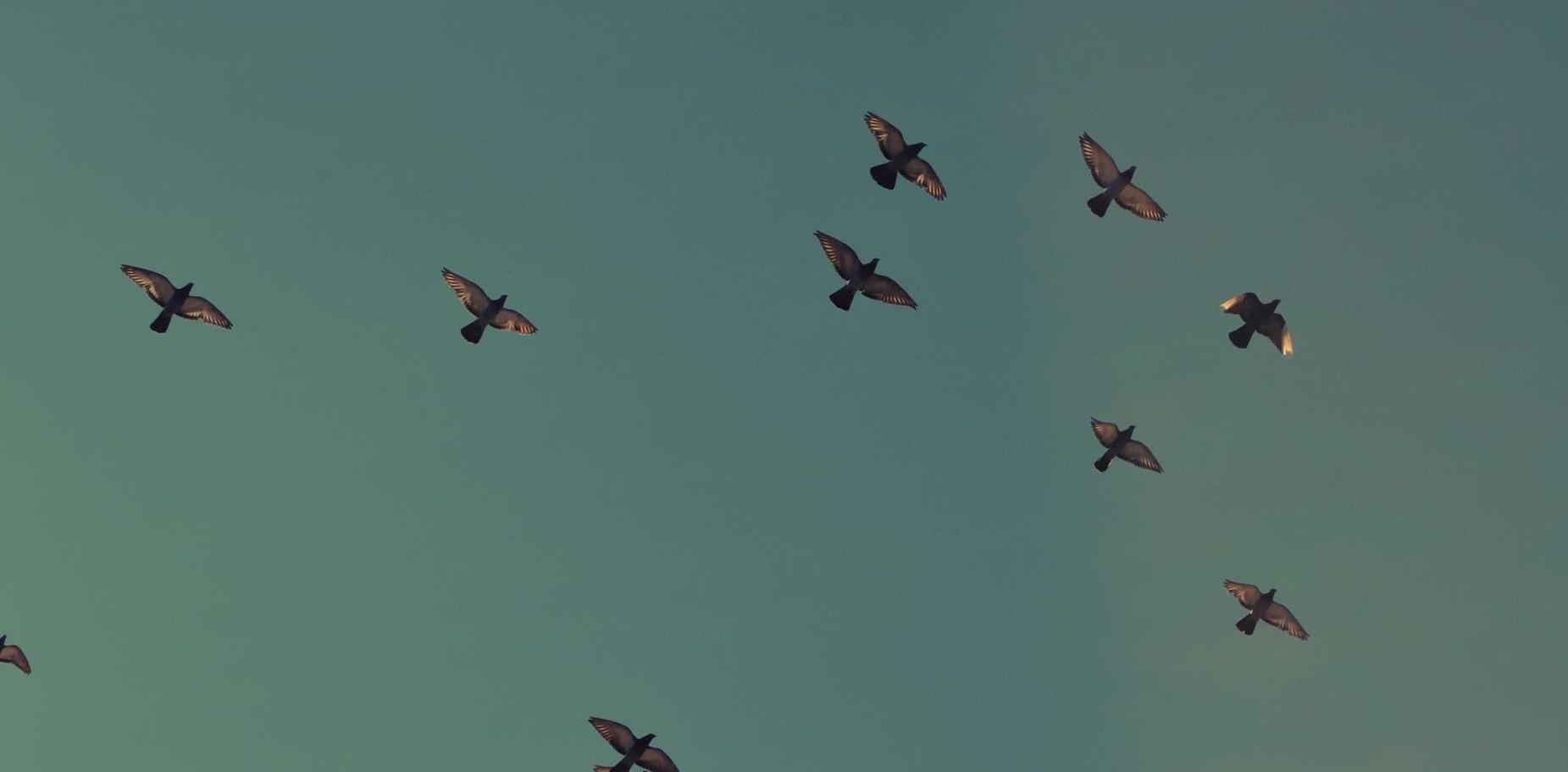 技术支持辅助留下的心理阴影