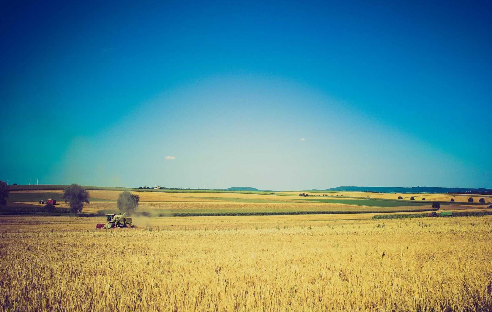 狩猎时刻:微博账号注册有什么影响