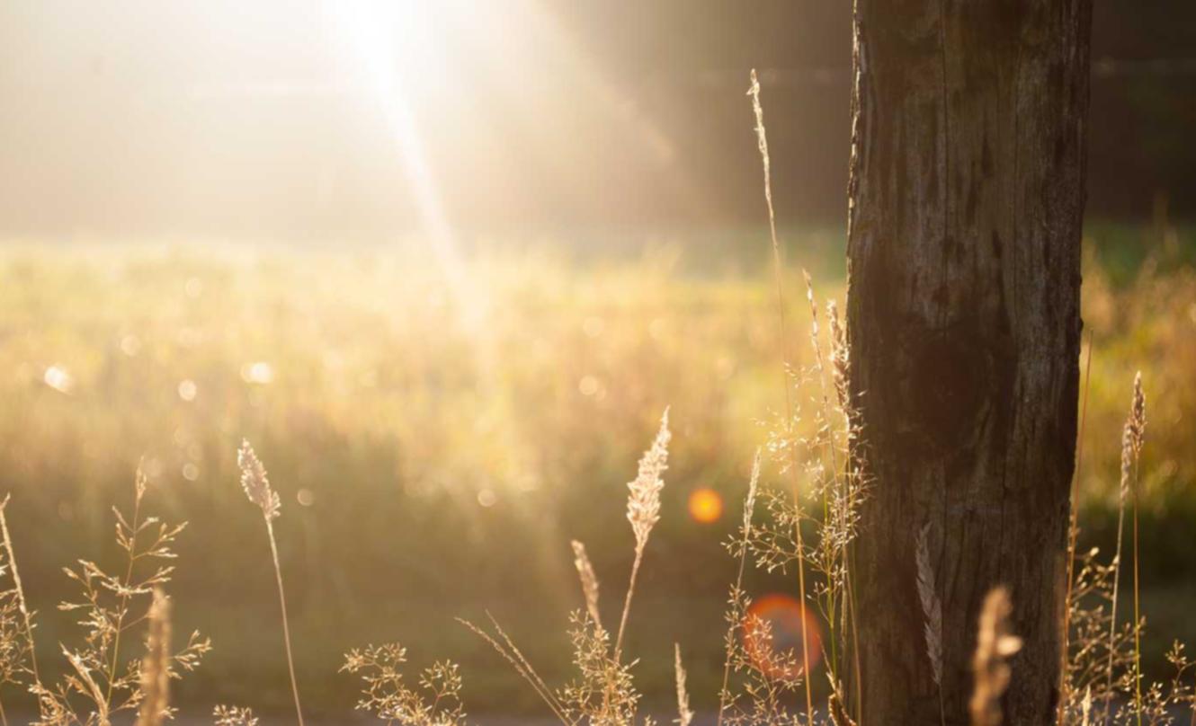 购买电动车登记服务平台
