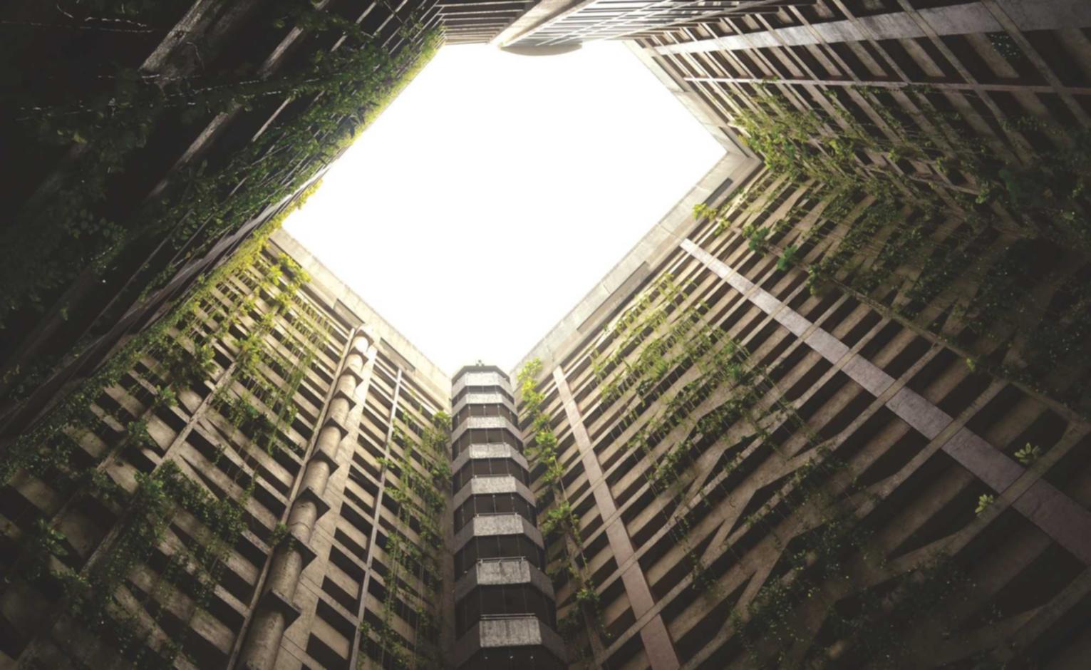 雾森:代理公司招聘平台