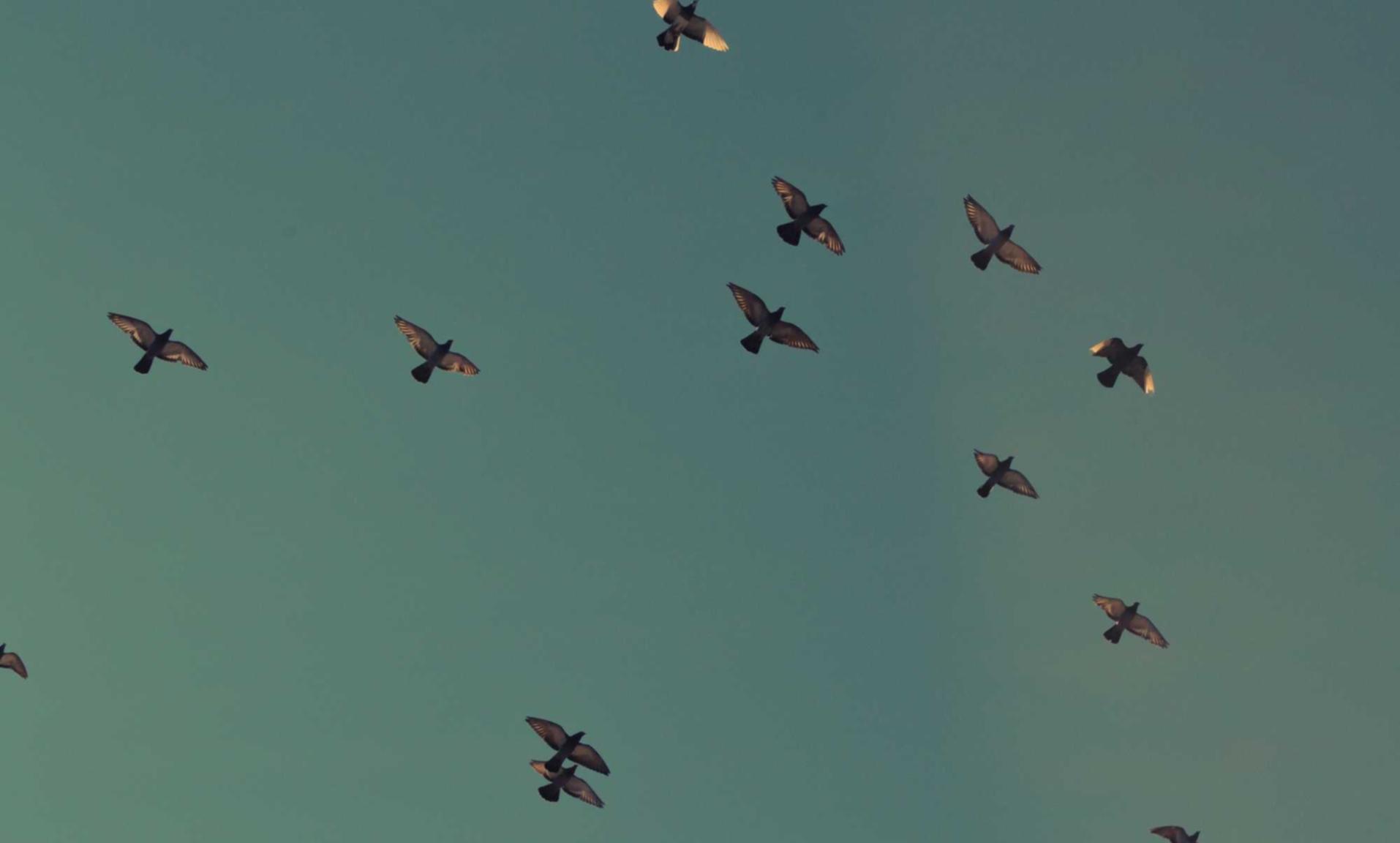 利用引用文献建立SEO联接桥梁