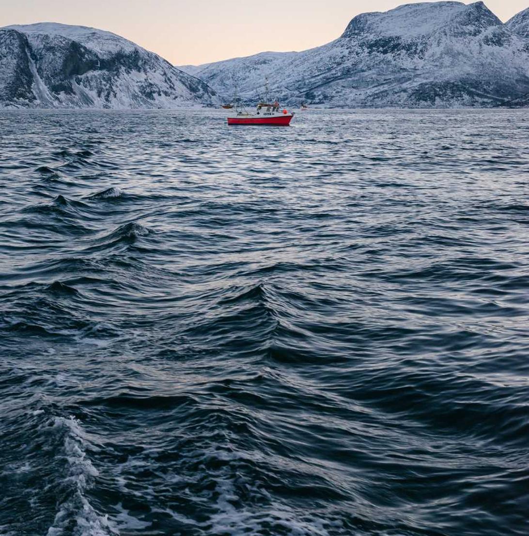 海航通信实名账号：短信如何促进互联网零售的发展？