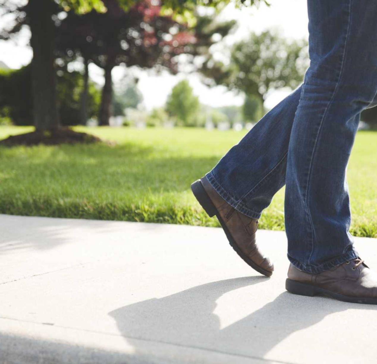 工商查询app详情下载教程