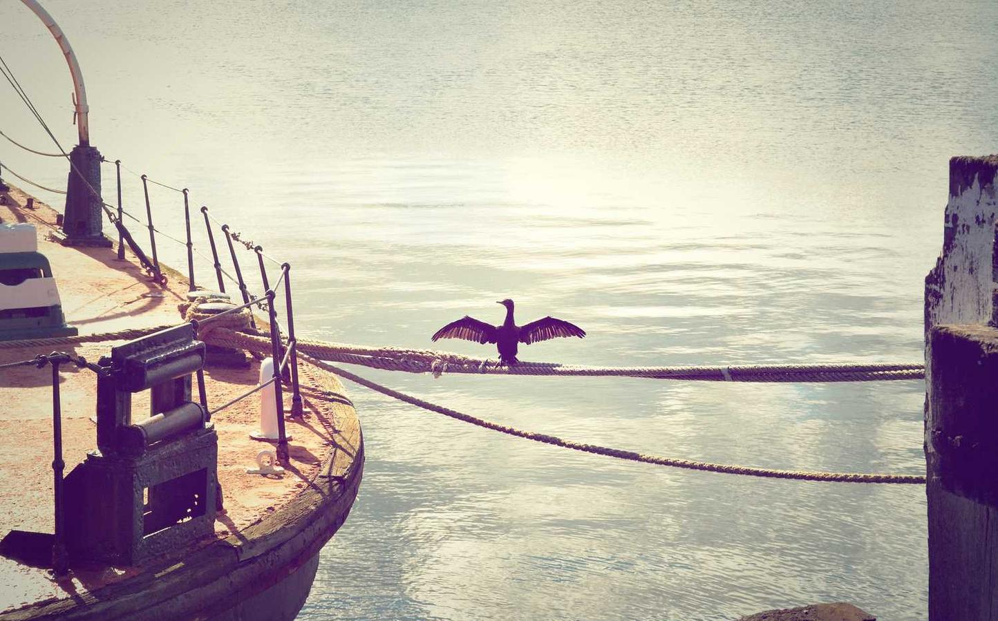 易趣实名账号：淄博代理 注册公司