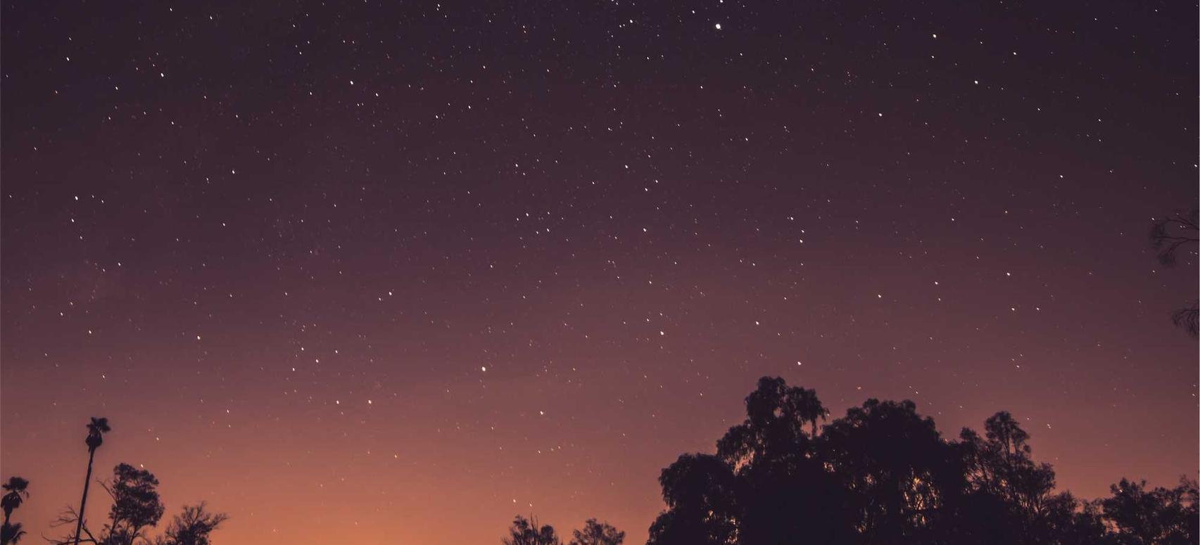 手机短信营销中的关键元素