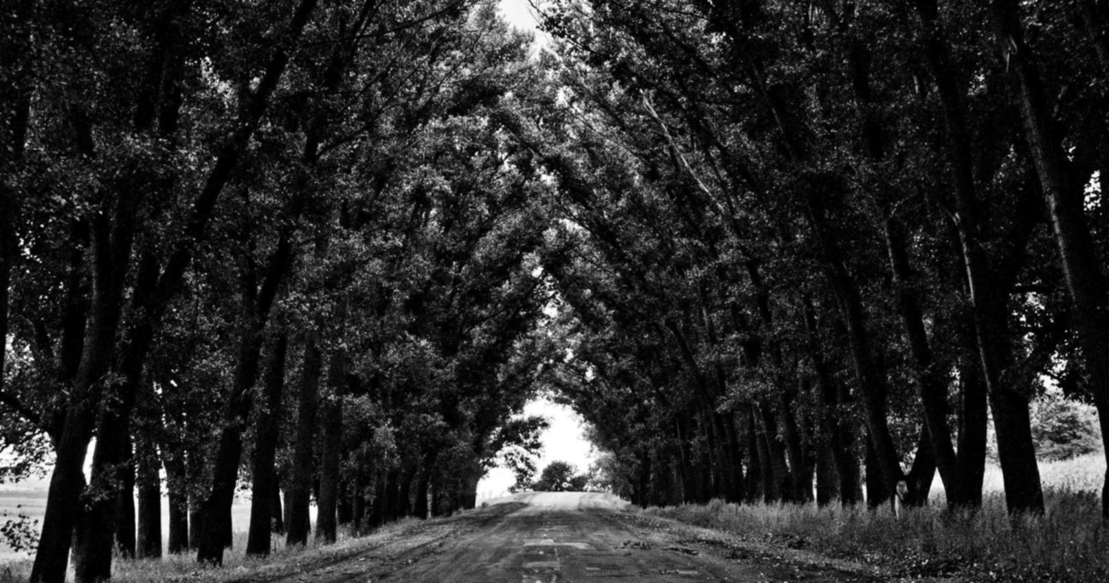 如何运用无障碍Web设计在SEO提升方面