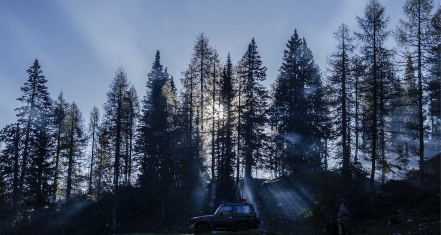 技术支持辅助程序对游戏体验的影响