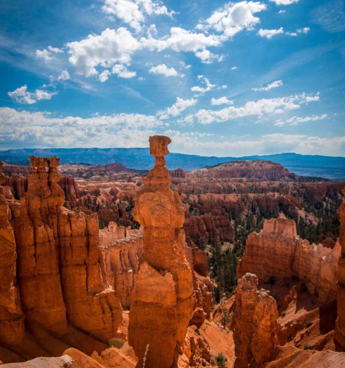 1号站邳州期货网上开户平台