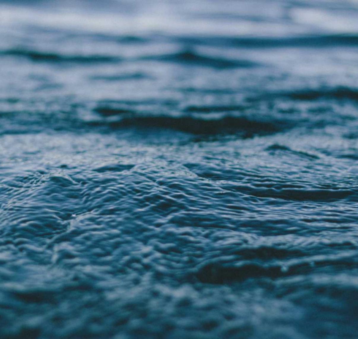 开云团队竞技港区工商注册代理