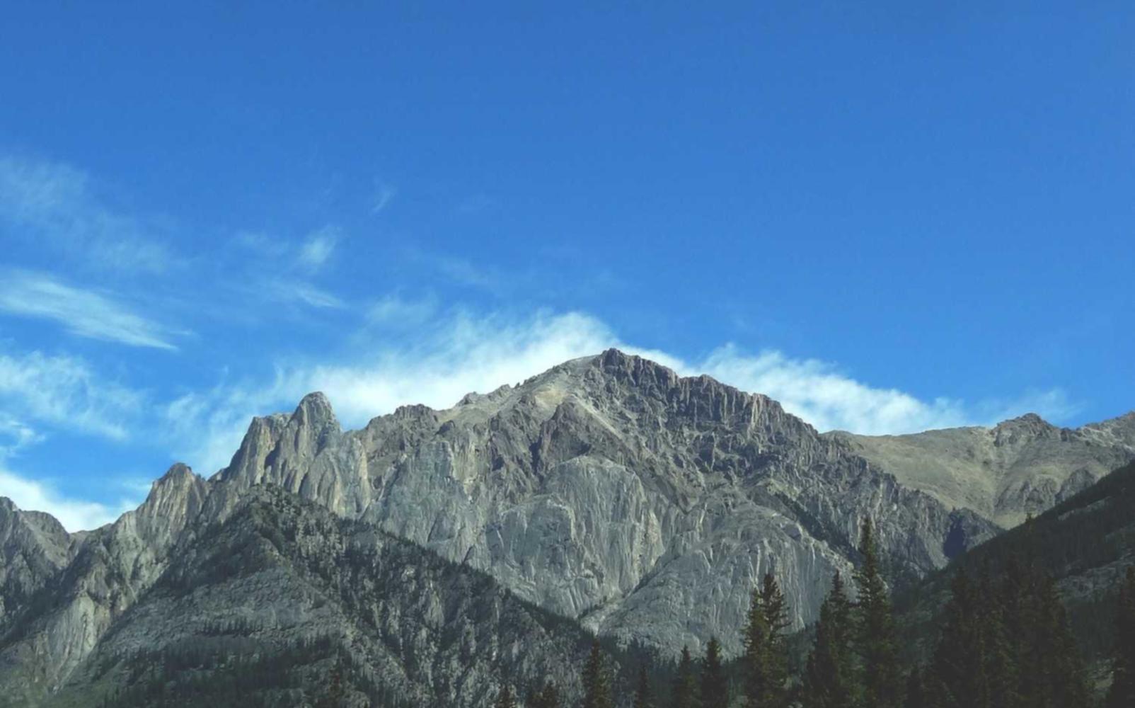 庆阳商标注册代理费用多少