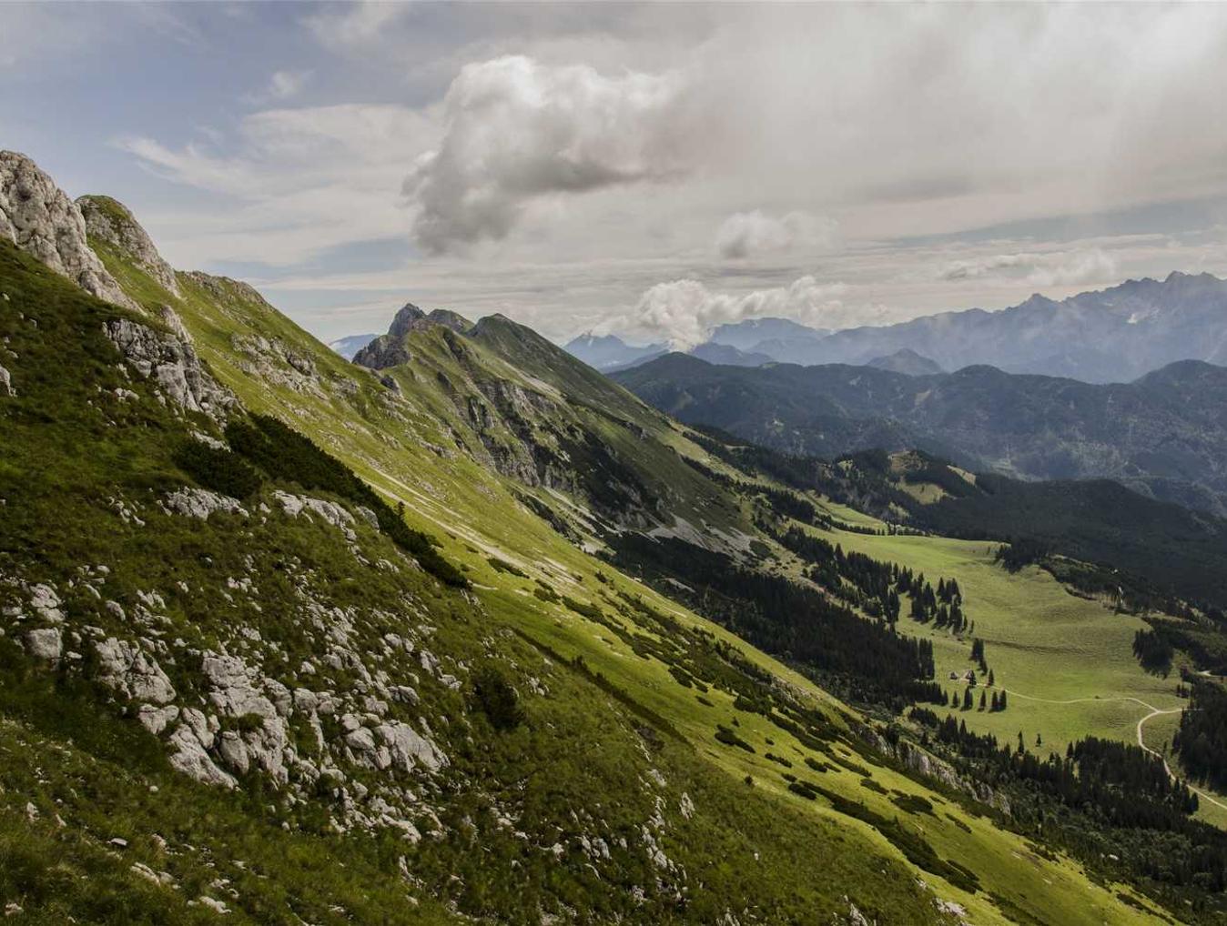 出口荷花（软）：代理公司注册类型