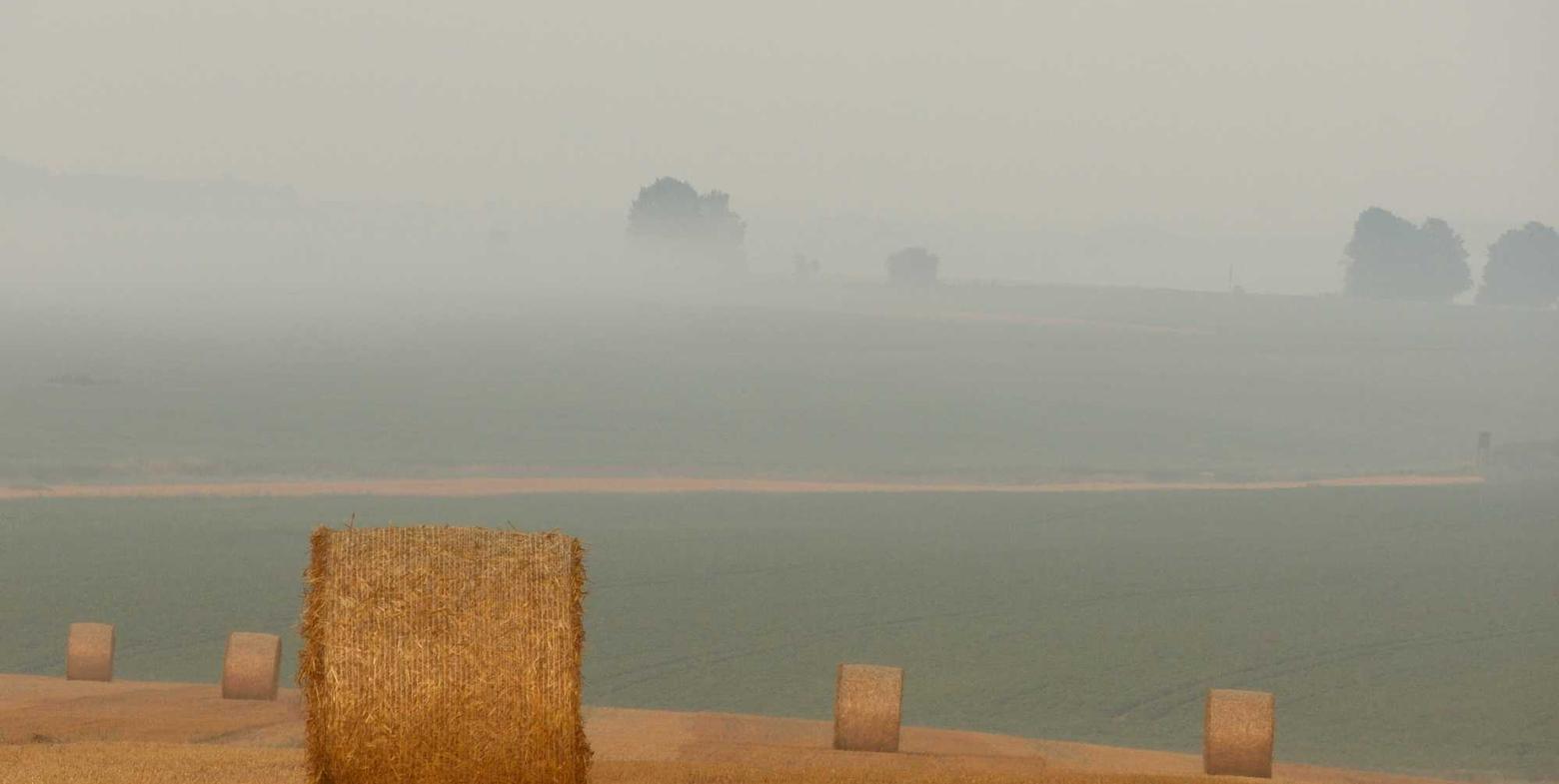 吸烟如何影响孕妇和胎儿？